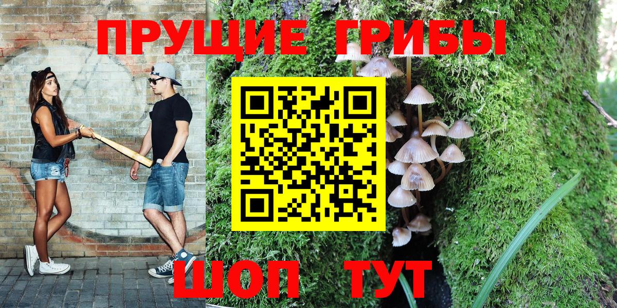 Галлюциногенные грибы Magic Shrooms  Вход с VPN  Псилоцибиновые грибы мухоморы  Среднеуральск 